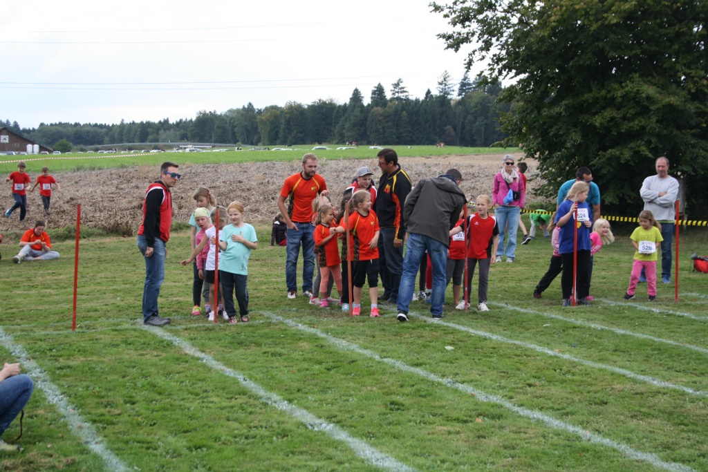 Bild 1 (137)